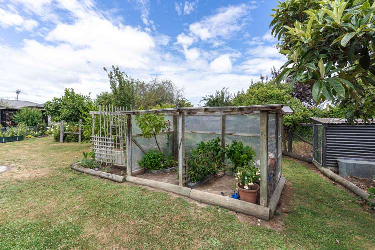 124 High Street Bulls_17