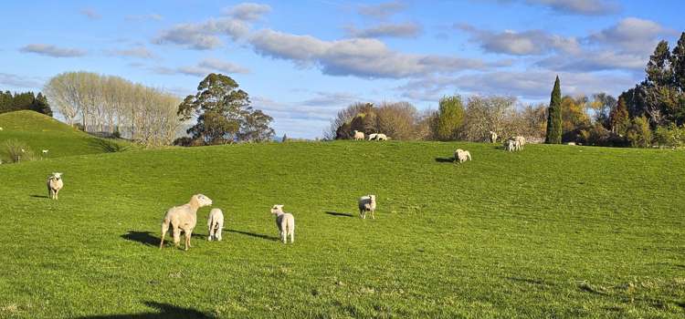 94 Oturoa Road Hamurana_11