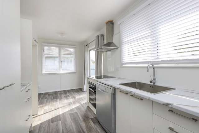 14 Cottrell Crescent Onekawa_3