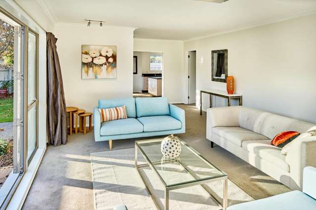 1/6 Cornwall Street Lower Hutt_3