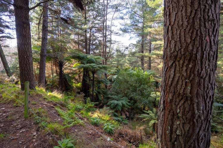 No 1 Line Pohangina_24