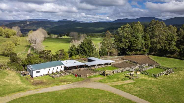 1127 Glenross Waiwhare_14