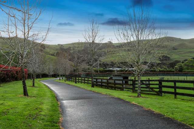 1019 Peak Road Helensville_1