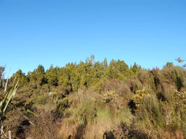 Lake Kaniere Road Kaniere_4