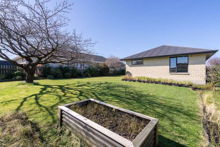 37 Vogel Place Waikiwi_18