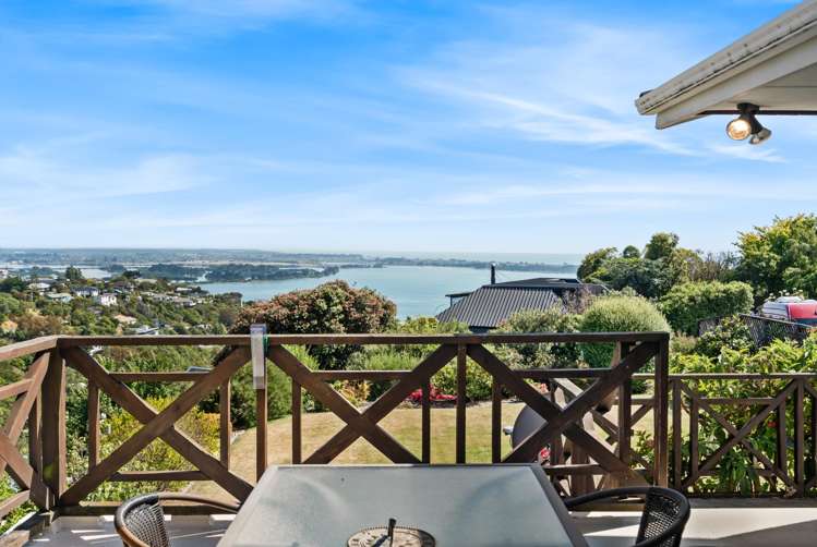 15 Toledo Place Mount Pleasant_19