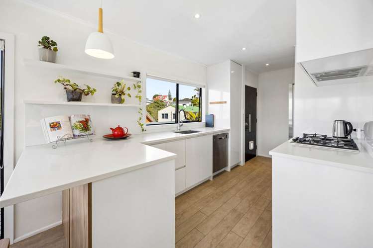 7 McIlroy Avenue Hillsborough_3