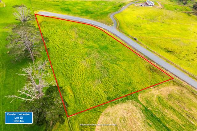 Lots 10-22 Morgan Rise Kaukapakapa_3