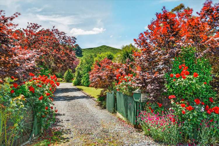 477 State Highway 41, Manunui Taumarunui_20