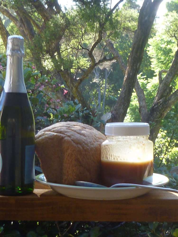 809 Koutu Loop Road Opononi_1