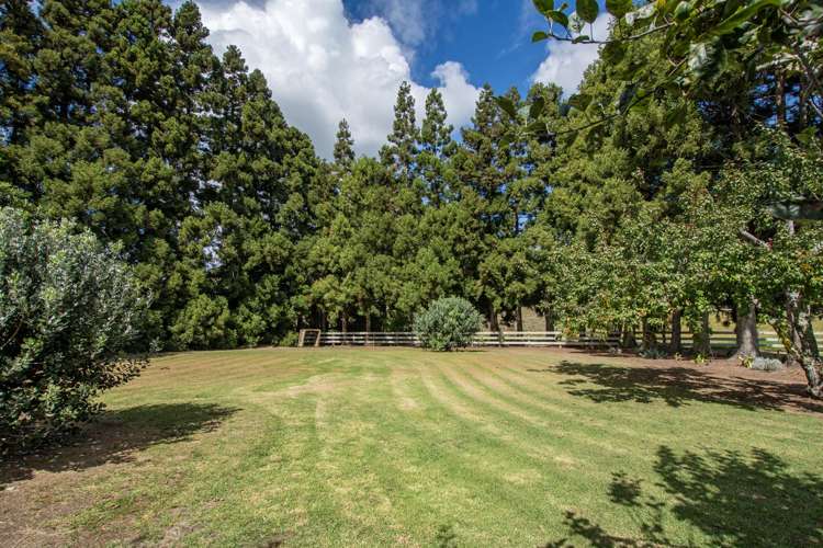 133 Apotu Road Kauri_24