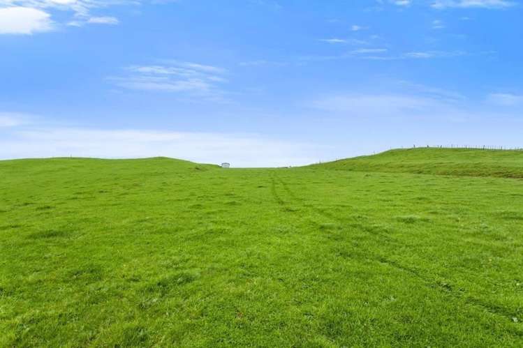 500 Tahuroa Road Tauwhare_38