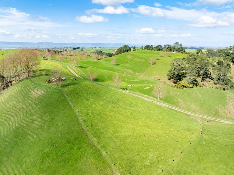 236 Taotaoroa Road Matamata_10