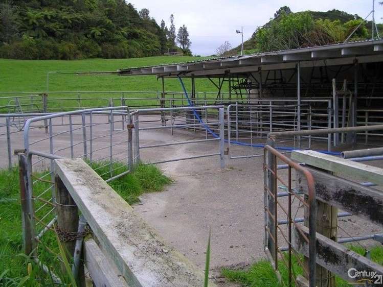 872 Puketawai Road Otorohanga_15