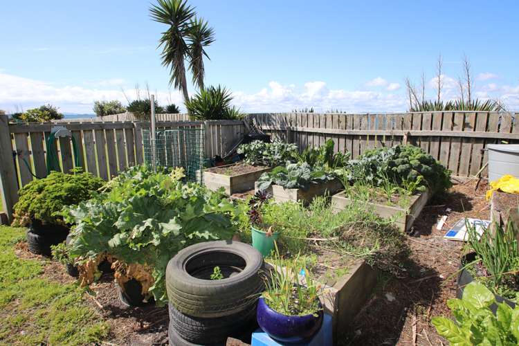 843 Kaimaumau Road Awanui_11