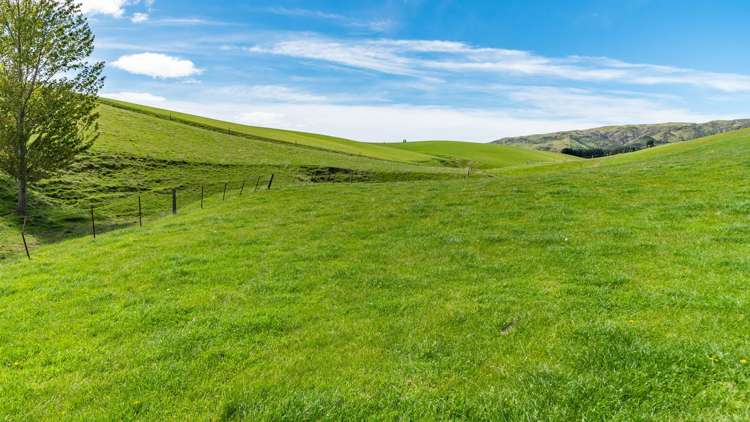 1443 Omihi Road Omihi_39