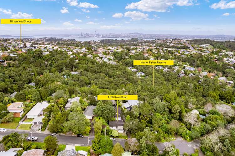 1/30 Kauri Road Birkenhead_17