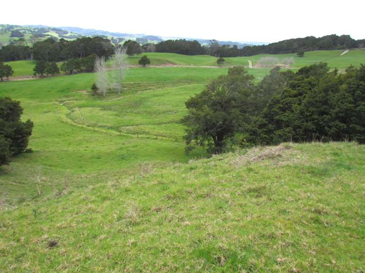 Tremain Road Ruatangata West_17