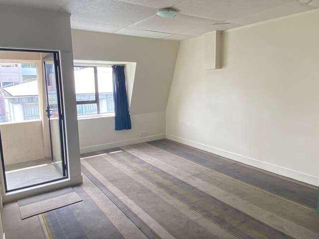 1/46 Abel Smith Street Te Aro_1