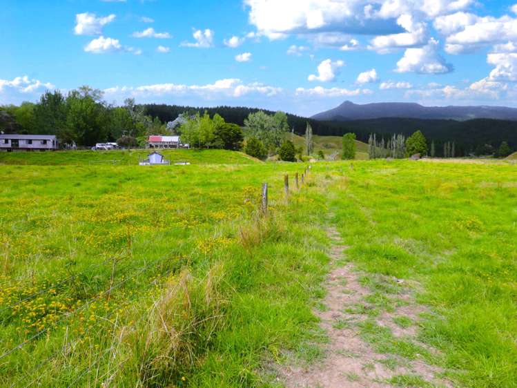 2218 Tangowahine Valley Road Dargaville Surrounds_19