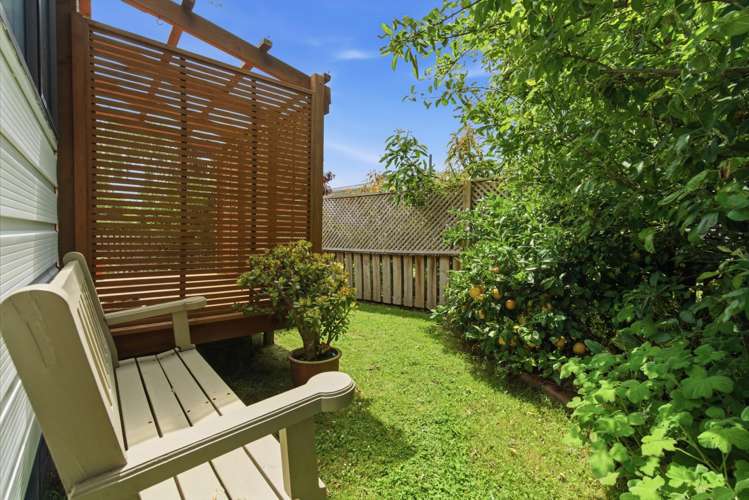 3A Lumsden Street Greerton_13