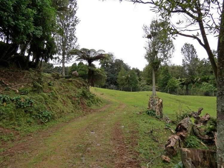 747a No 4 Road Te Puke_4