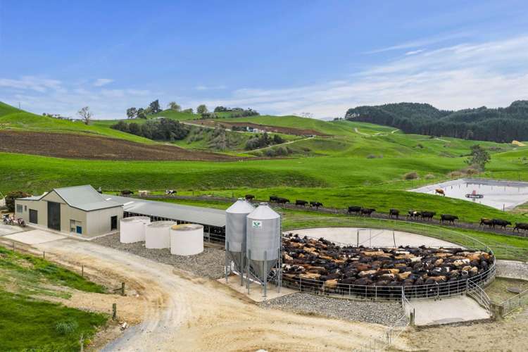 310 Paparamu Road Piarere_17