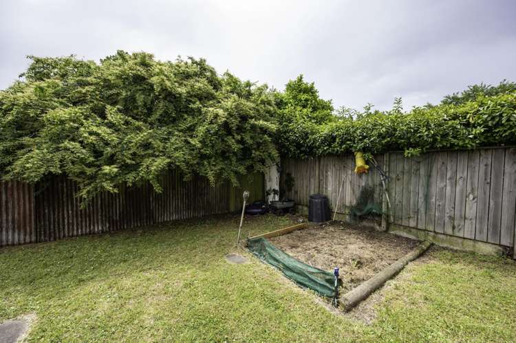 1/39 Alfred Street Nelson South_16