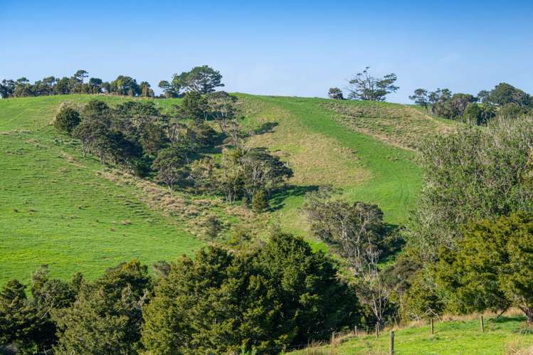 Lot 19 Anderson Road_4