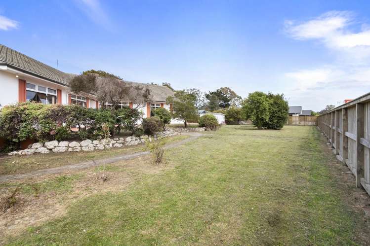 33 Daniell Street Bulls_33