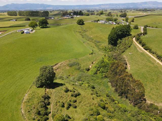 231B Morgan Road Matamata_1