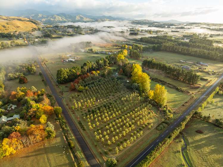 16 Parkers Road Carterton_35