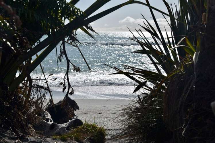 1976b Haast-Jackson Bay Road Jackson Bay_10