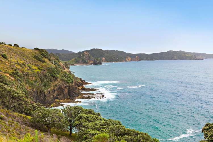 346 Gray Road Great Barrier Island (Aotea Island)_25