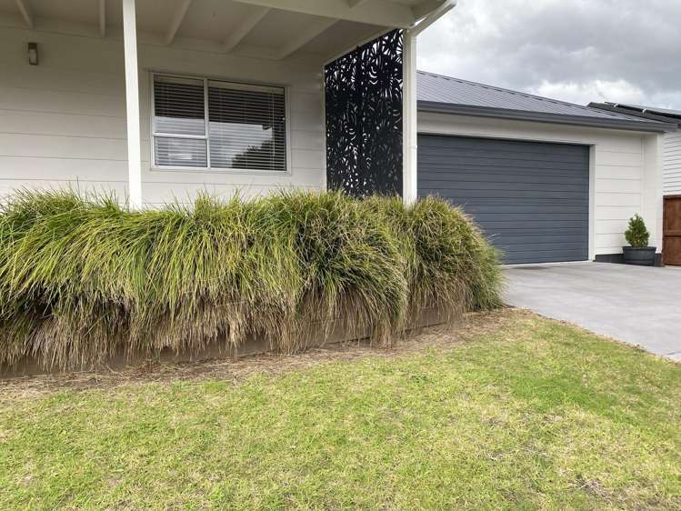 313 Chartwell Avenue Whangamata_1