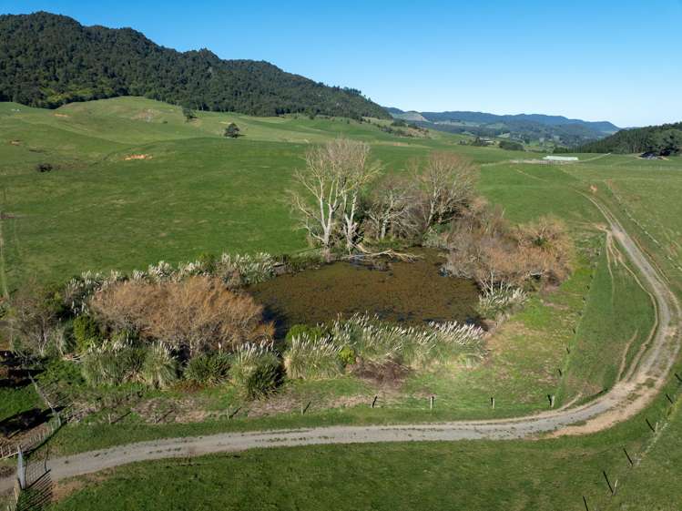 134 Old Te Aroha Road Te Poi_30