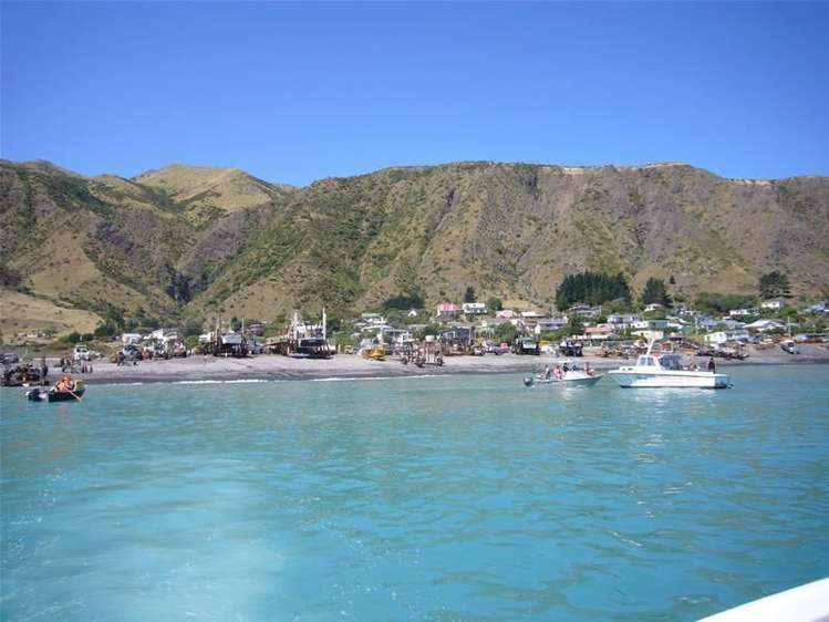 3101 Ngawi Drive Cape Palliser_13