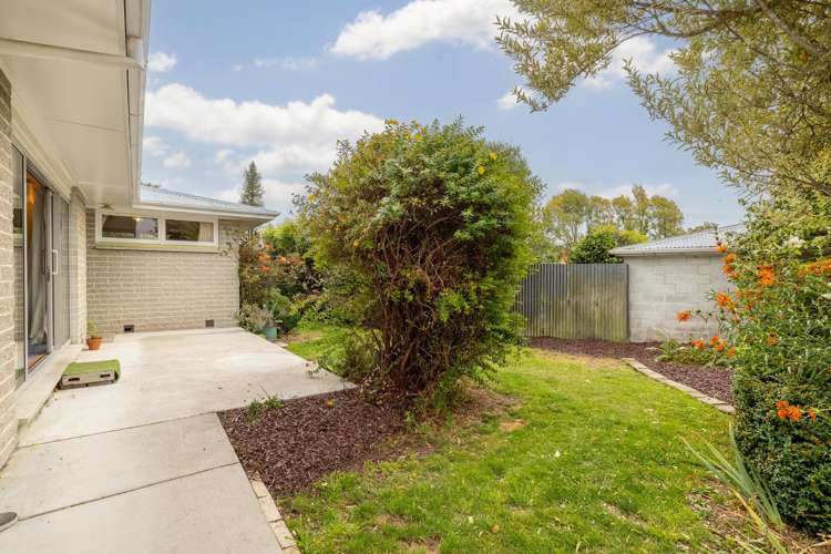 16a Canberra Place Redwood_14