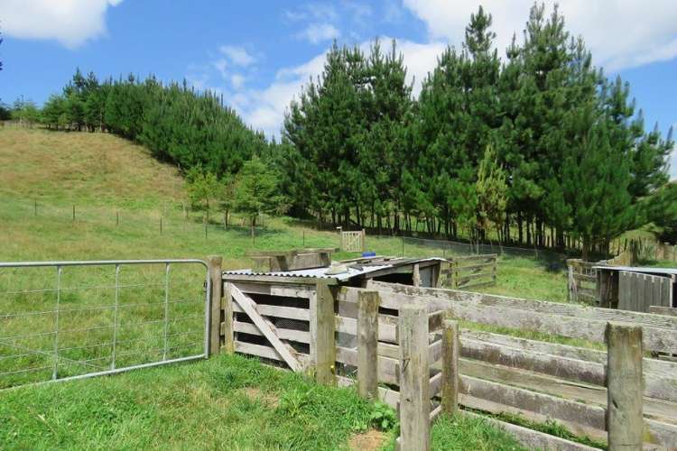 298 Tunakotekote Road Taumarunui_20