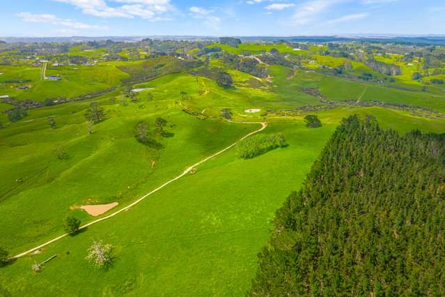 Waitoki investment opportunity