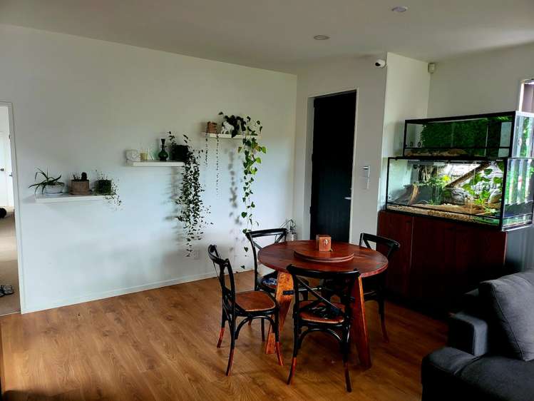 1 Herekino Street Westgate_11