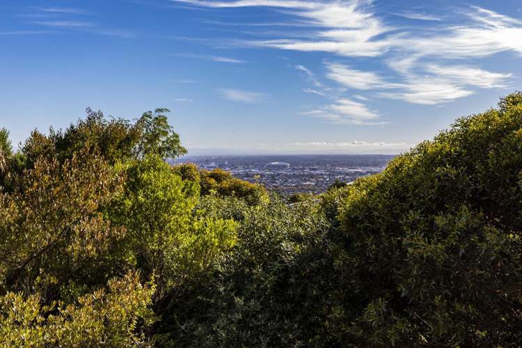 139 Kidson Terrace Cashmere_2