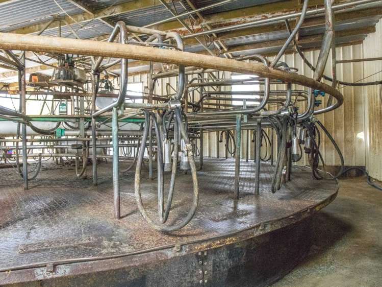 450a Settlement Road Kaiwaka_6