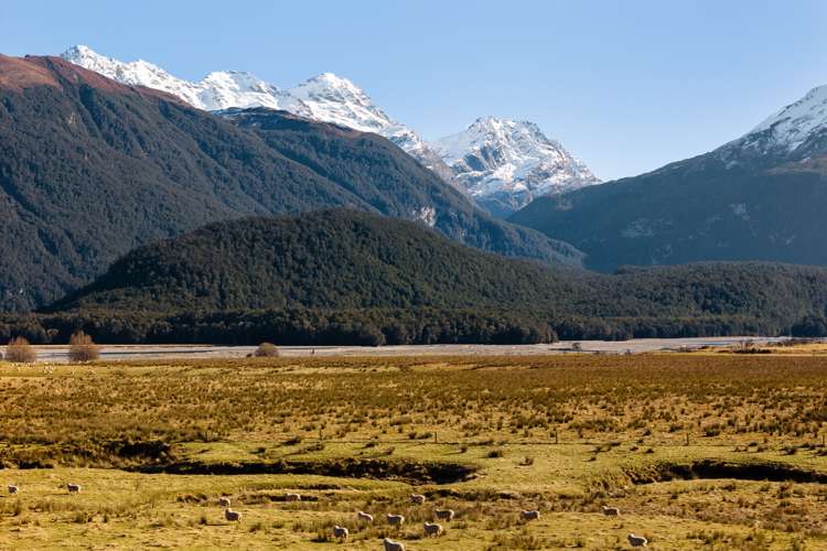 Glenorchy-Paradise Road Glenorchy_9