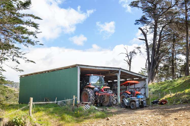 220 Kaimarama Road Whitianga_18