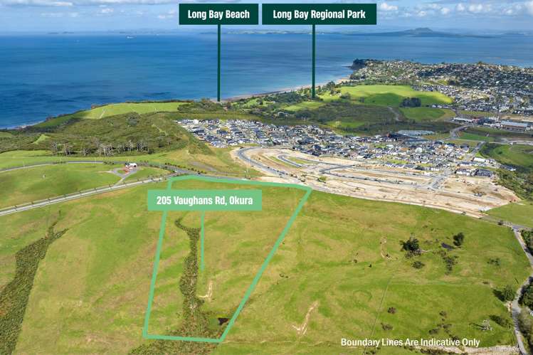 205 Vaughans Road Okura_9