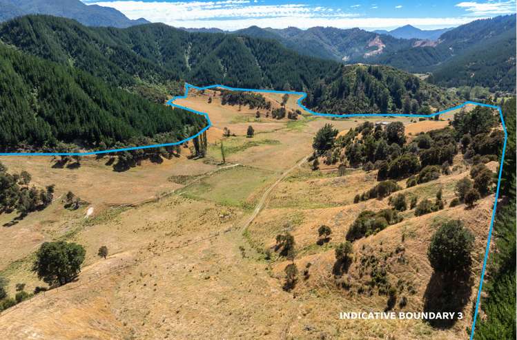 407 Onamalutu Road Wairau Valley_19