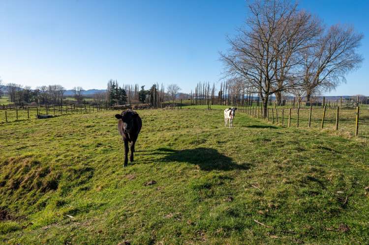 29 Halcrow Road Reporoa and Surrounds_22