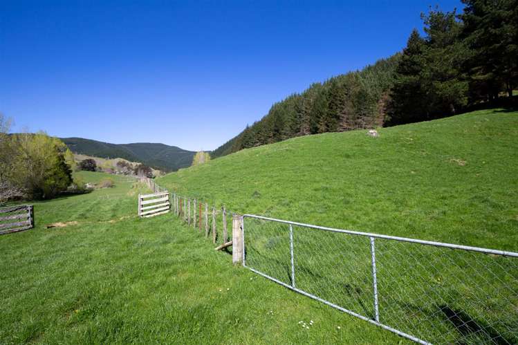 312 Lud Valley Road Hira_30