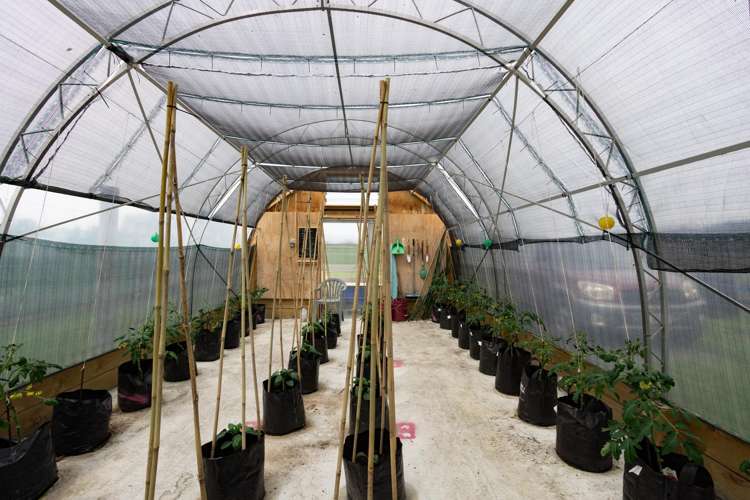 78 East Road Ascot_38